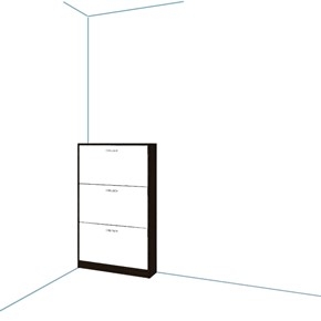 Immagine per la categoria Scarpiere